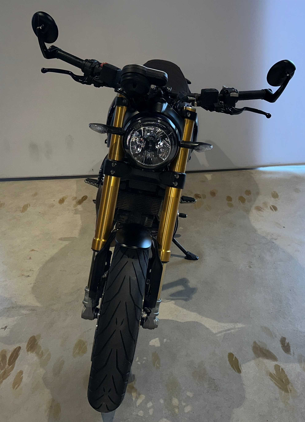 Ducati 1100 Scrambler Pro 2020 vue avant