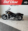 Aperçu Harley-Davidson FAT BOB CVO CVO 2010 vue gauche